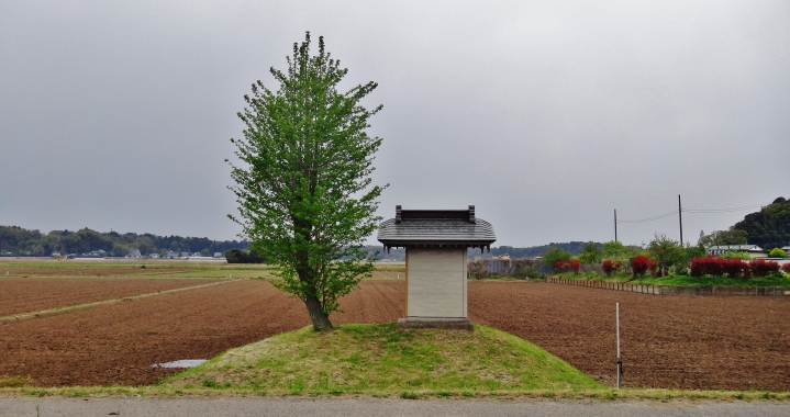 Chiba miniature shrine